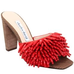 Flash Sale 😍 Charles David 👩 women Hottie ⭐